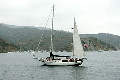 catalina sailboats